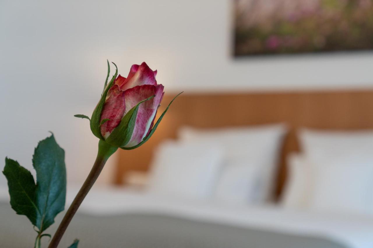 Hotel Elysee Seligenstadt Zewnętrze zdjęcie